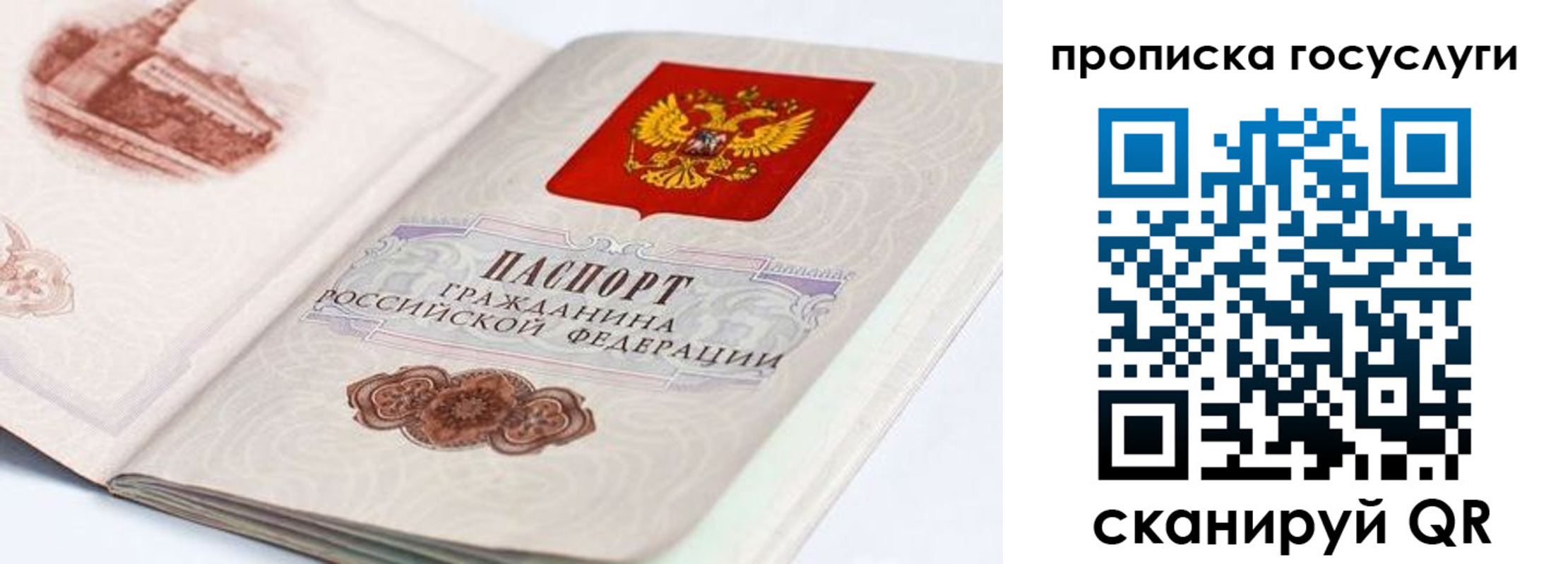прописка гарантия в Черноголовке